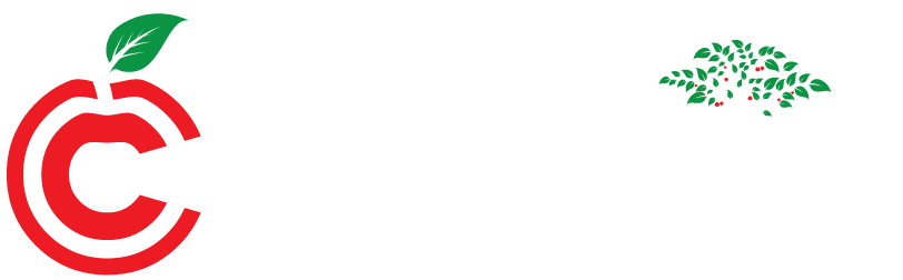 Cherrypick Capital